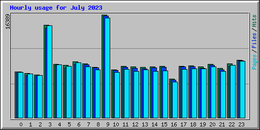 Hourly usage for July 2023